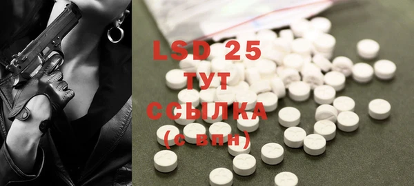 ГАЛЛЮЦИНОГЕННЫЕ ГРИБЫ Абаза
