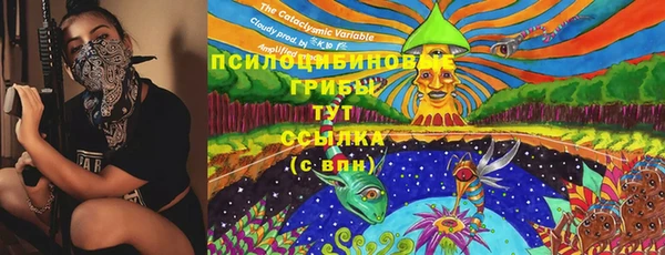 ГАЛЛЮЦИНОГЕННЫЕ ГРИБЫ Абаза