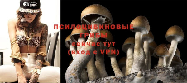 ГАЛЛЮЦИНОГЕННЫЕ ГРИБЫ Абаза