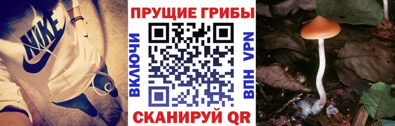 Псилоцибиновые грибы мицелий  Зеленокумск 