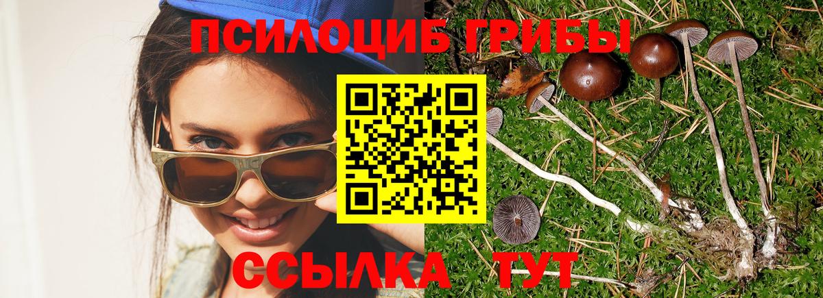 Псилоцибиновые грибы мицелий Зеленокумск