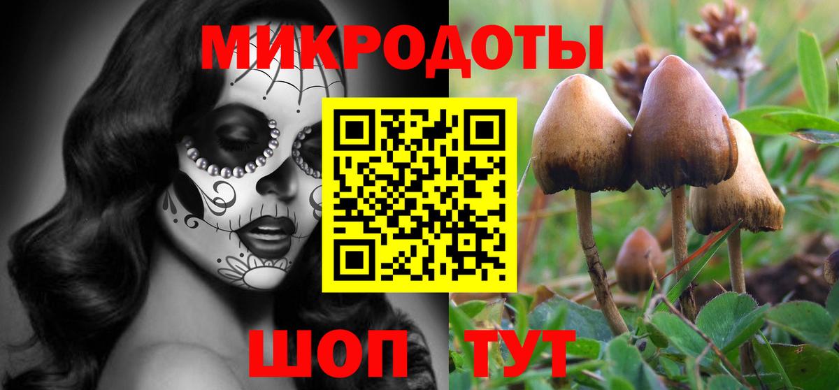 Псилоцибиновые грибы ЛСД  Вход с VPN  Зеленокумск 